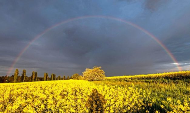 Per Handy neue Daten über Wetter und Sonnenwind gewinnen
