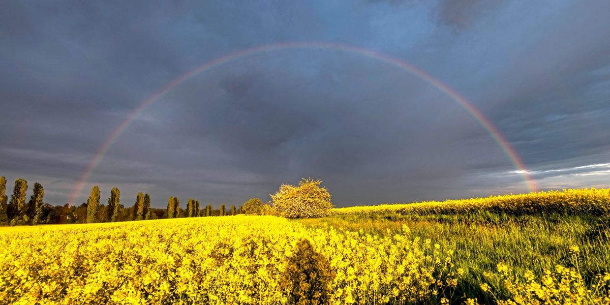 Per Handy neue Daten über Wetter und Sonnenwind gewinnen