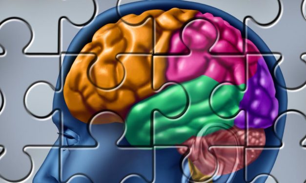 Grazer entdeckten bei Alzheimerforschung zwielichtiges Protein