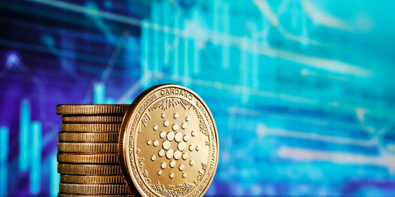 Von wegen dezentral? Cardano-Wale halten über 16 Prozent aller ADA