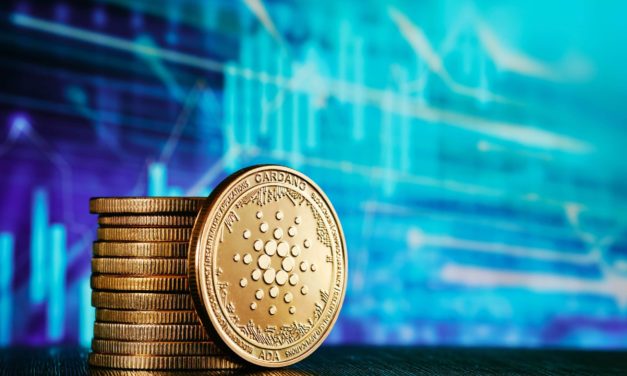 Von wegen dezentral? Cardano-Wale halten über 16 Prozent aller ADA