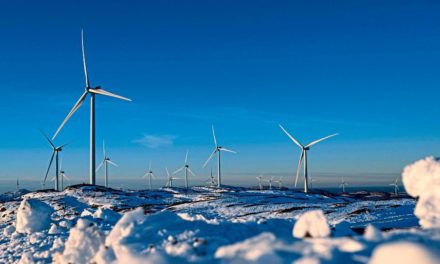 Sieben Schritte aus der Klimakrise: Was jetzt zu tun ist
