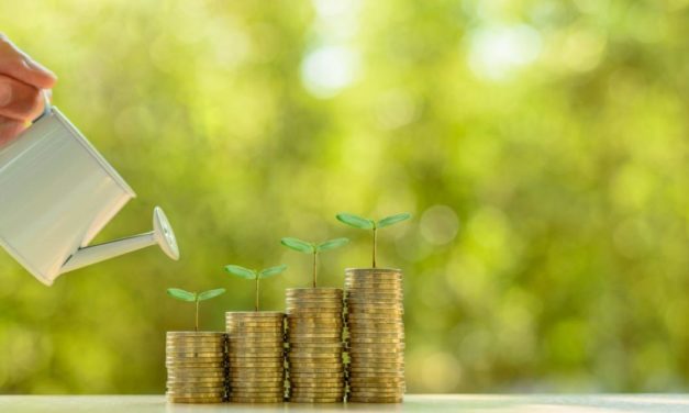 Nachhaltiges Investieren braucht nach wie vor viel Eigeninitiative