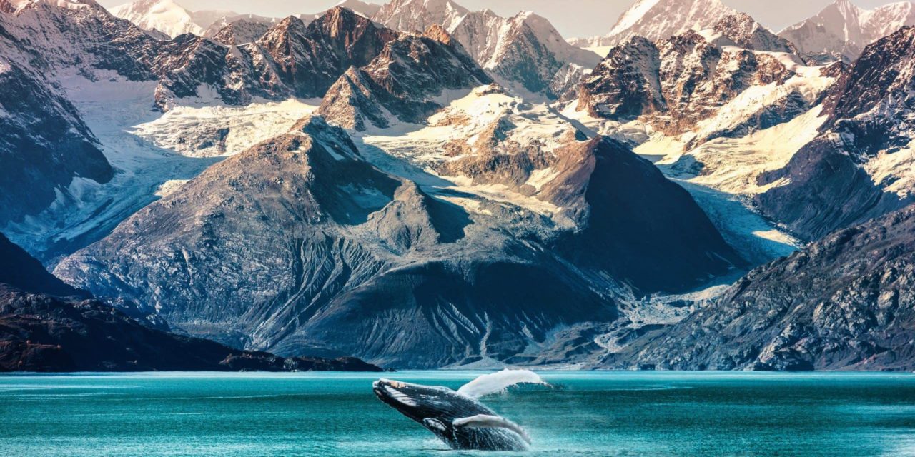 Bitcoin-Bestände auf Exchanges rückläufig – Vorboten eines Bullentrends?