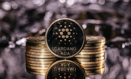 Fast 6.000 neue ADA-Wallets täglich: Cardano-Netzwerk blüht auf