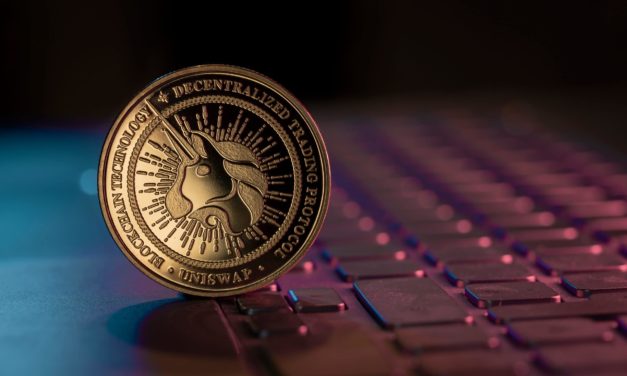 Uniswap vor Solana und Cardano: Wo am meisten Entwickler tüfteln