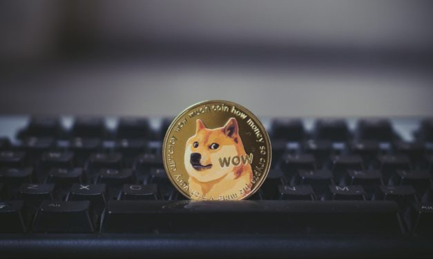 Dogecoin (DOGE)-Kurs dank Elon Musk auf Achterbahnfahrt