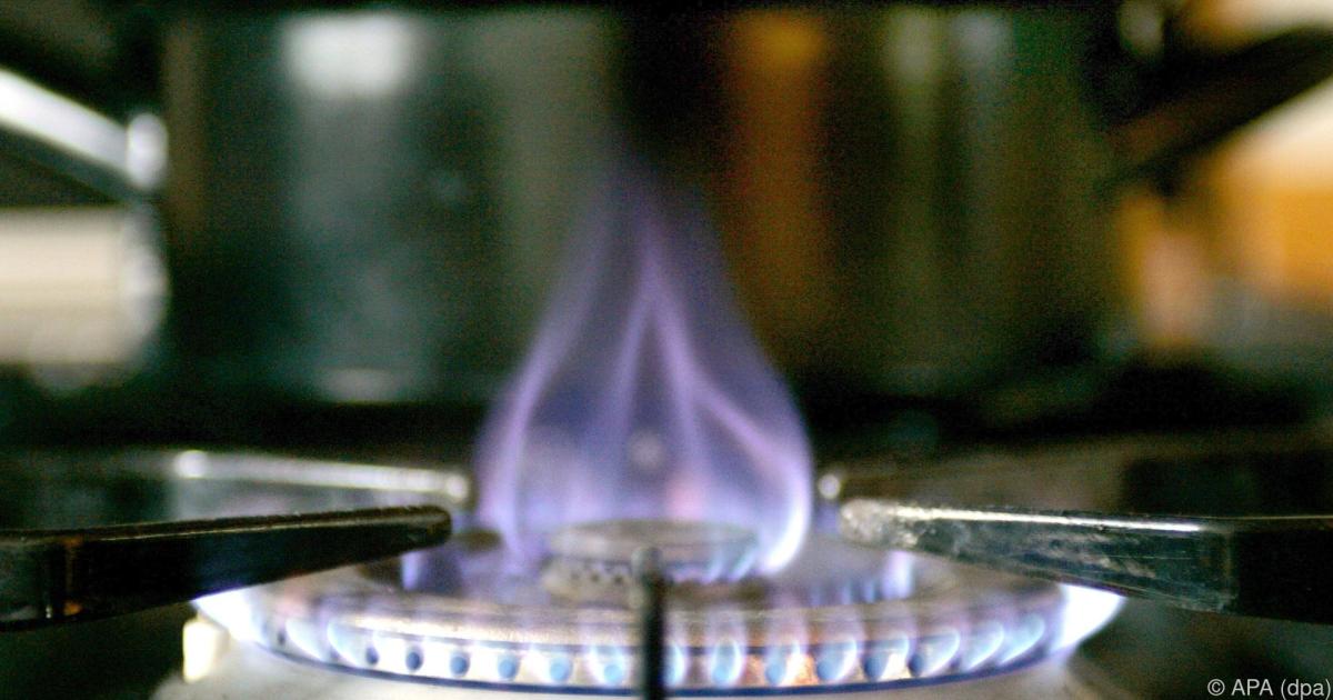 Haushaltsenergie im Februar um 27,4 Prozent teurer als im Vorjahr