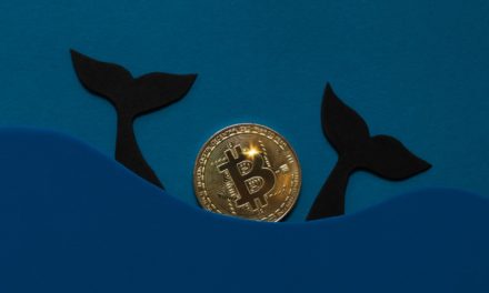 Größter Bitcoin-Wal schnappt zu: 3.000 BTC für 137 Millionen US-Dollar