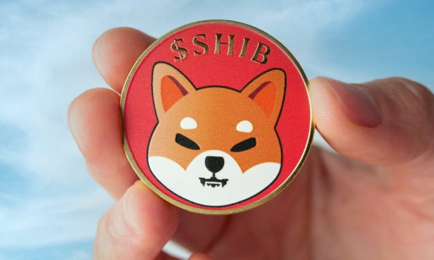 Shiba Inu: SHIB-Transaktionen brechen massiv ein