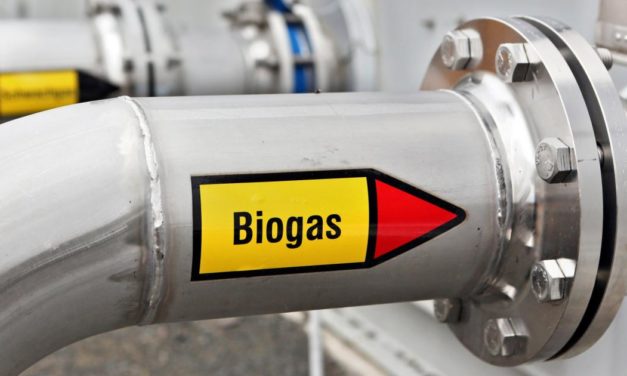 Biogas könnte ein Viertel des heimischen Erdgasverbrauchs ersetzen