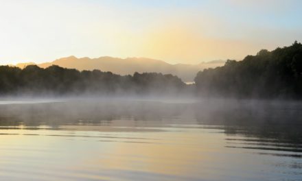 Googles neue Datenplattform heißt BigLake