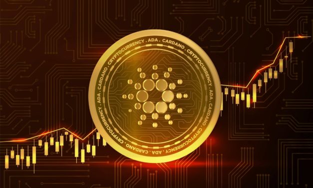 Cardano: So soll das Netzwerk noch schneller wachsen