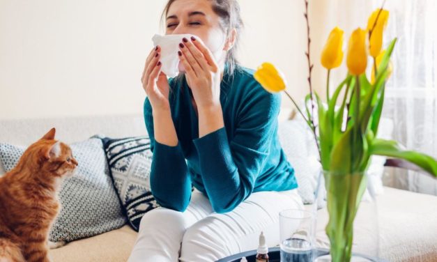 Allergie-Fallen: So schützen Sie sich sich gegen Pollen und Hausstaub