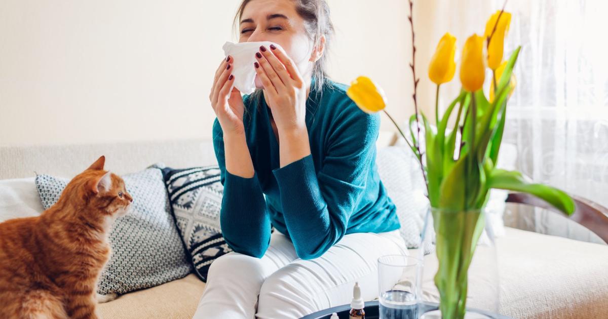 Allergie-Fallen: So schützen Sie sich sich gegen Pollen und Hausstaub