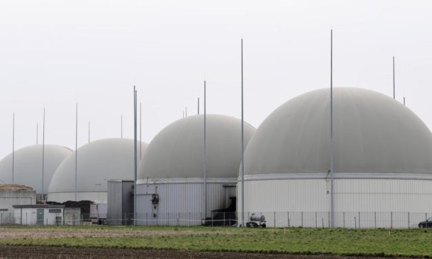 Gas aus österreichischem Biomist statt aus Putins Russland