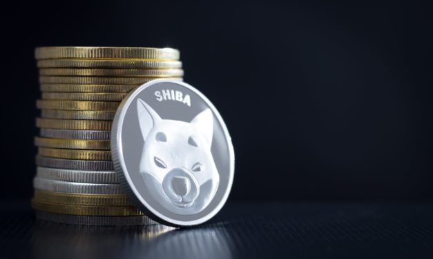 Shiba Inu: SHIB-Kurs nach Robinhood-Listing 20 Prozent im Plus