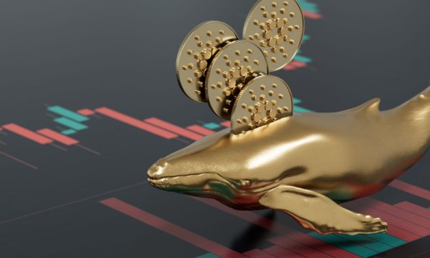 Cardano-Wale besitzen fast die Hälfte der ADA-Umlaufmenge