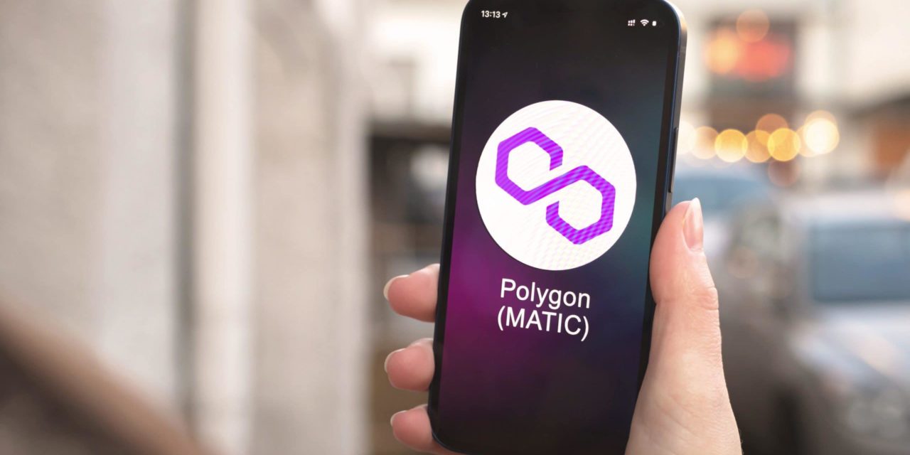 Polygon investiert 20 Millionen US-Dollar in Klimaschutz