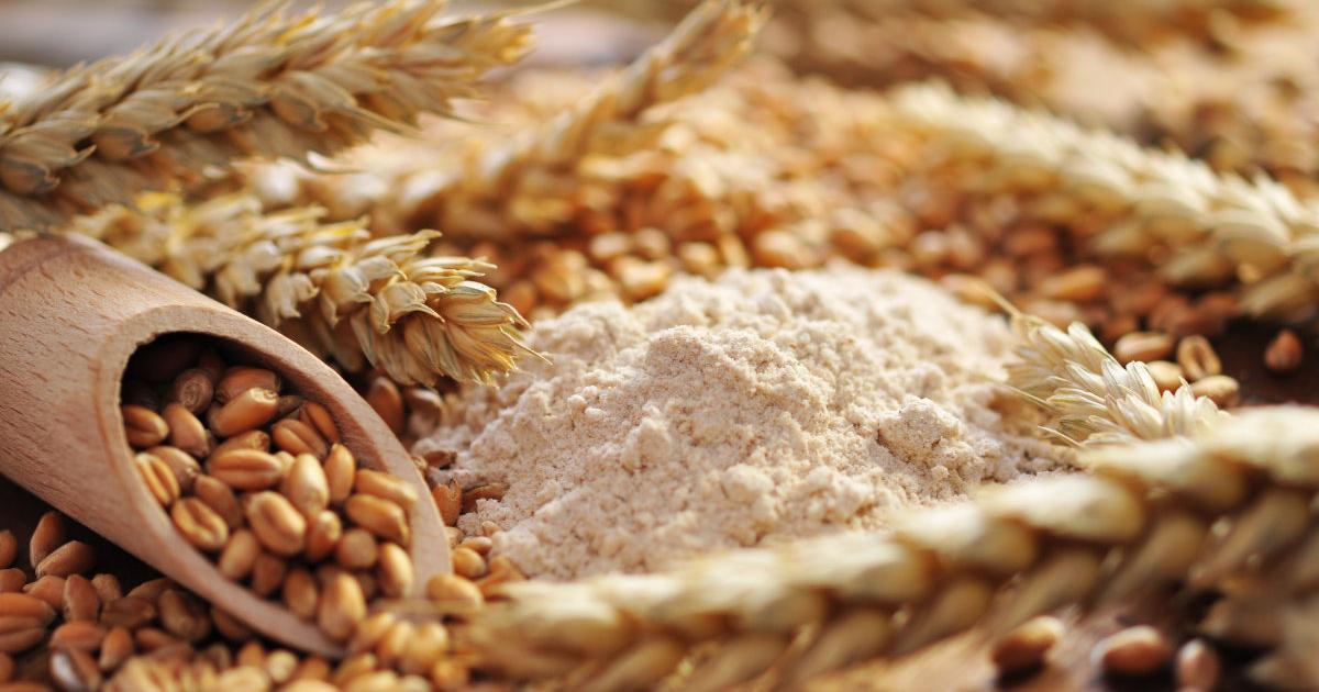 Neues Rekordhoch beim Weizenpreis durch Ukraine-Krieg