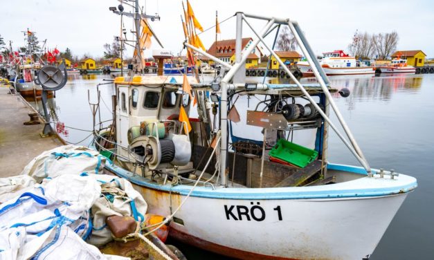 Fischerei: Deutsche Fischkutter bleiben wegen hoher Dieselpreise in den Häfen