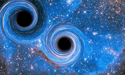 Was Schwarze Löcher tun, wenn keiner hinschaut