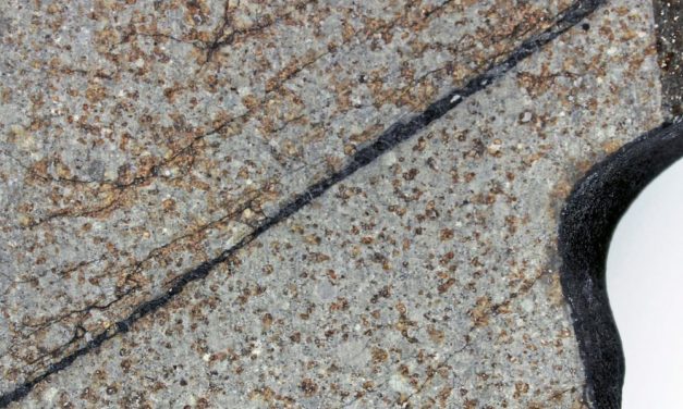 Meteorit aus Wiener Sammlung entpuppt sich als einzigartige Zeitkapsel