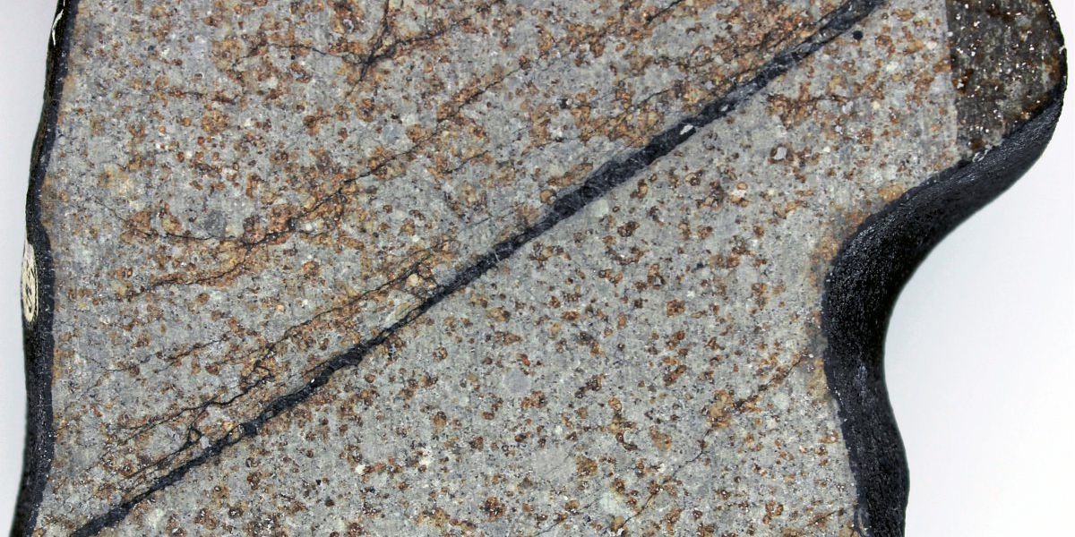 Meteorit aus Wiener Sammlung entpuppt sich als einzigartige Zeitkapsel