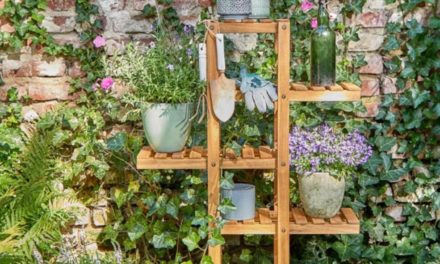 Trendscout: Zubehör, das man zum Garteln braucht