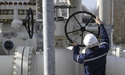 Gasversorung: Zwischen Lenkung und Enteignung