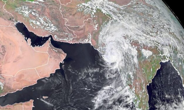 Dem Wetterfrosch auf die Sprünge helfen