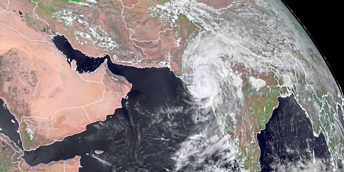 Dem Wetterfrosch auf die Sprünge helfen