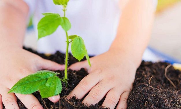 „Tag der Erde“: Richtig in unseren Planeten investieren