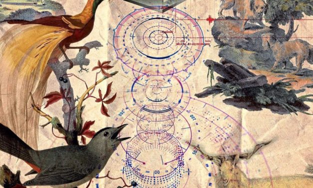 Kühe und Ziegen als Frühwarnsystem bei Vulkanausbruch und Erdbeben