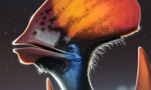 Neues Puzzleteil im Rätsel um gefiederte Saurier