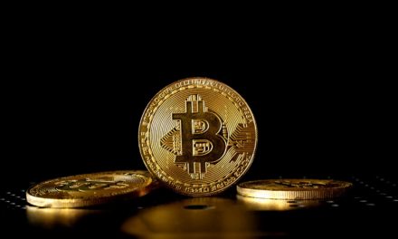 Silk-Road-Gründer begleicht ausstehende Schulden mit Bitcoin