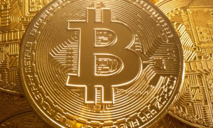 Wiener Startup Coinpanion verspricht einfachen Einstieg in die Kryptowelt