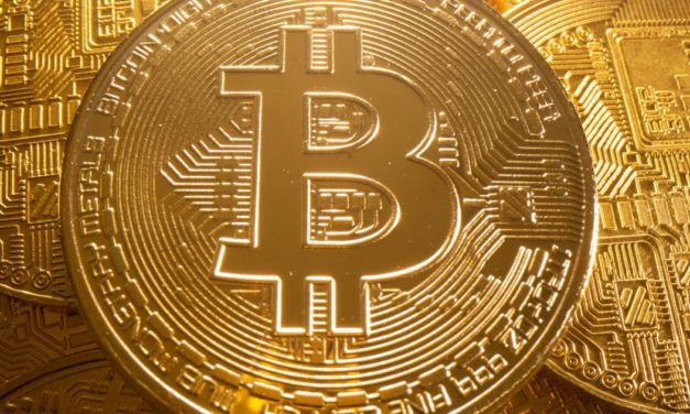 Wiener Startup Coinpanion verspricht einfachen Einstieg in die Kryptowelt