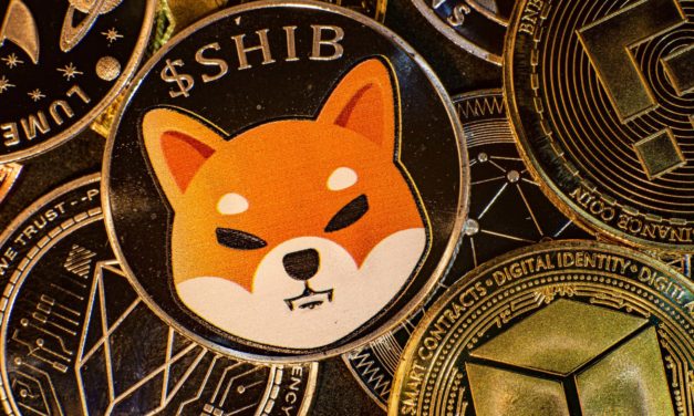 Shiba Inu Metaverse: Hakenkreuz löst Debatte um Meinungsfreiheit aus