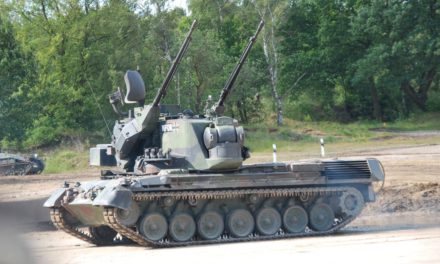 Deutschland will Ukraine Gepard-Panzer schicken