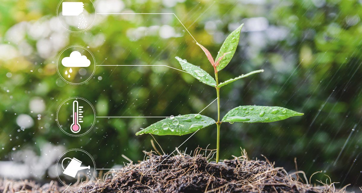 Npm-Schwachstelle „Package Planting“: Vertrauen ist gut, Kontrolle ist besser