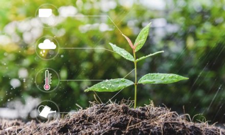 Npm-Schwachstelle „Package Planting“: Vertrauen ist gut, Kontrolle ist besser