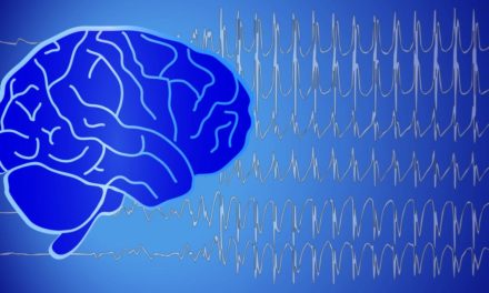 Epilepsie: „Eine Krankheit wie jede andere auch“