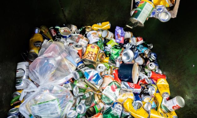 Erneut Hausdurchsuchungen wegen Müllkartell