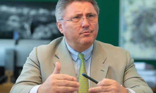 Porr-Chef Strauss: Gewinnsteigerung kommt vor Umsatzwachstum