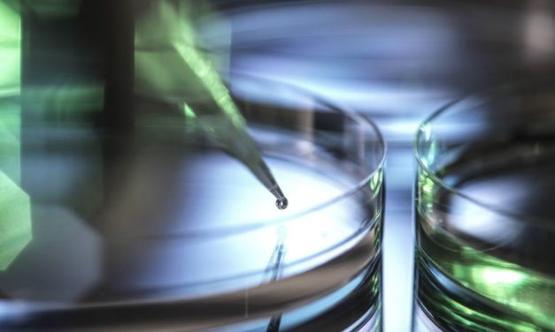 Anträge beim Forschungsfonds FWF steigen stärker als das Budget