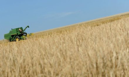 Lebensmittelpreise: Absage an Mehrwertsteuer-Senkung