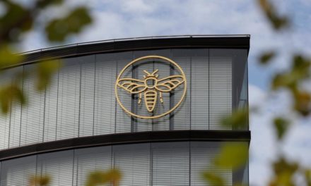 Erste Group erhöhte Nettogewinn im 1. Quartal um ein Viertel