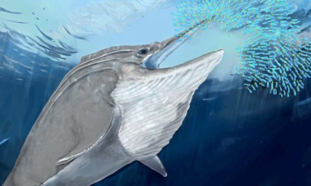 Überreste riesiger Meeressaurier in den Alpen aufgetaucht