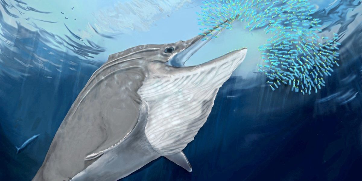 Überreste riesiger Meeressaurier in den Alpen aufgetaucht